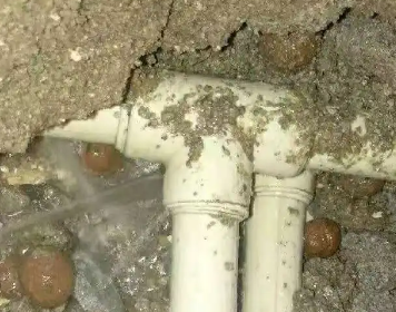 友好测漏水多少钱