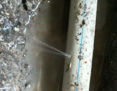 友好测漏水哪家好