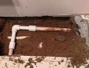 友好测漏水哪家好