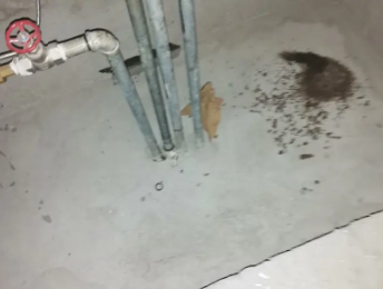 友好卫生间测漏水价格明细