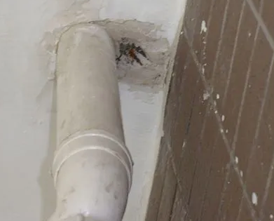 友好漏水检测哪家好